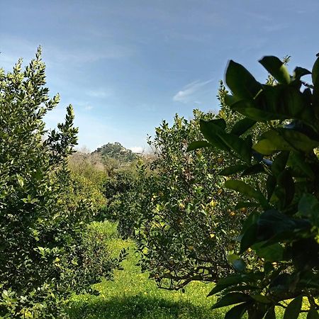 Casa Gelferraro Villa Calatafimi Bagian luar foto