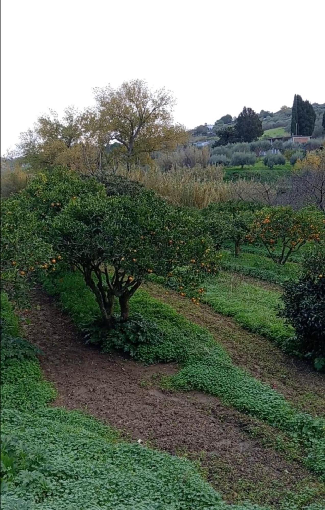 Casa Gelferraro Villa Calatafimi Bagian luar foto