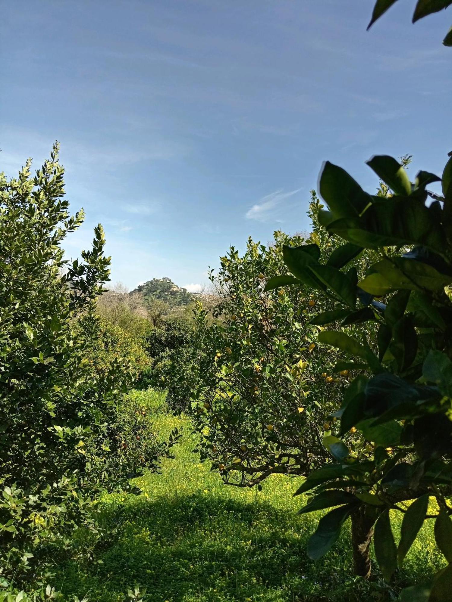 Casa Gelferraro Villa Calatafimi Bagian luar foto